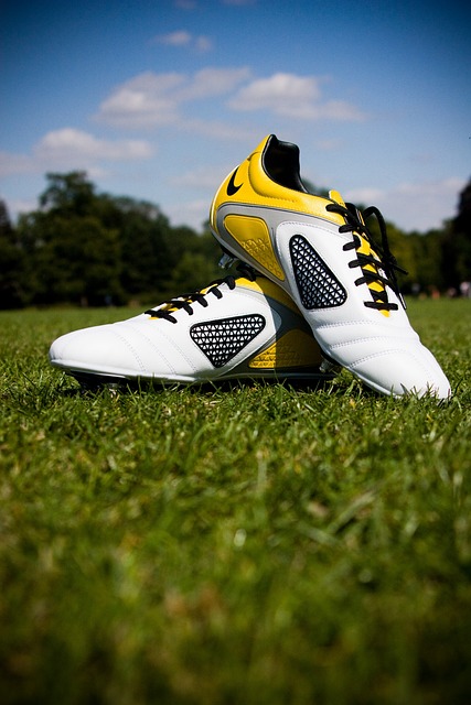 告规定约束
